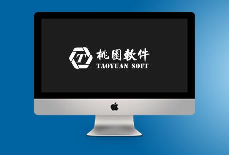 广州软件公司