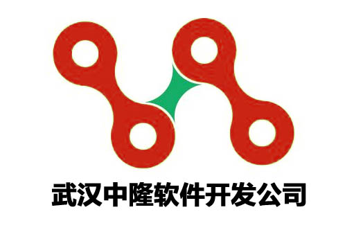 武汉中隆软件开发公司