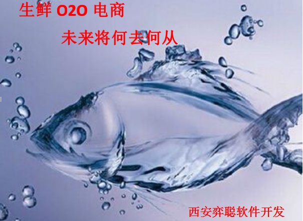 生鲜O2O电商
