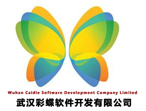 武汉彩蝶软件开发公司