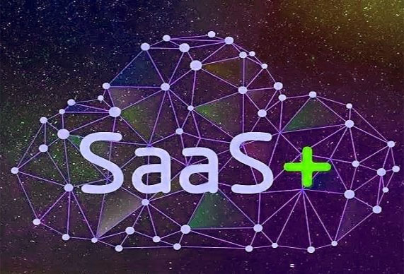 SaaS软件开发