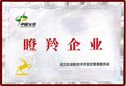 武汉东湖开发区2020年度拟认定光谷瞪羚企业名单